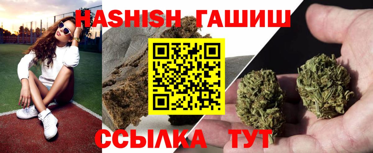 ГАШ Premium Ярославль